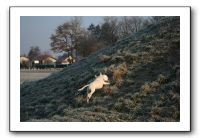 IMG_7397