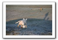 IMG_7402