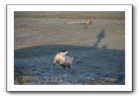 IMG_7403