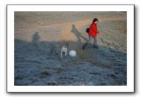 IMG_7421