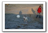 IMG_7434