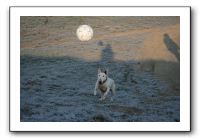 IMG_7435