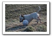 IMG_7442