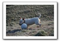IMG_7443