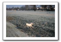 IMG_7462
