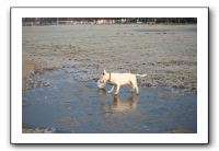 IMG_7476