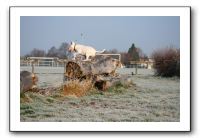 IMG_7510