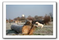 IMG_7521