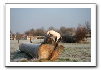 IMG_7522