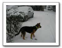 SANY0028
