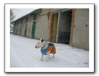 SANY0029
