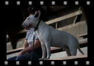 IMG_2246