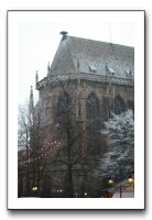IMG_7551