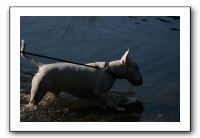 IMG_0237