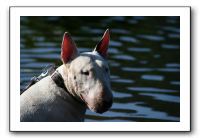 IMG_0244