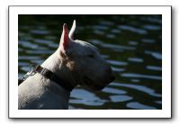 IMG_0246