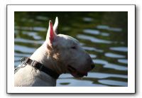 IMG_0247