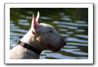 IMG_0248