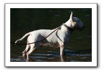 IMG_0253