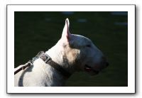 IMG_0254