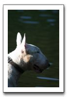 IMG_0255