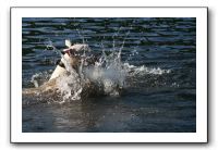 IMG_0261