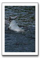 IMG_0270