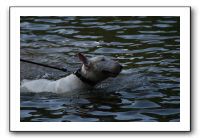 IMG_0279