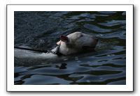 IMG_0281