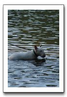 IMG_0284