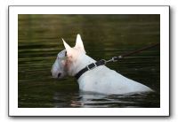 IMG_0301