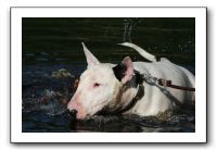 IMG_0320