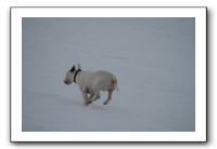 IMG_7672