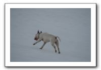 IMG_7674