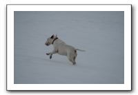 IMG_7675