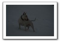 IMG_7683