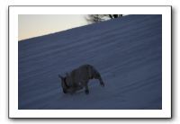 IMG_7686