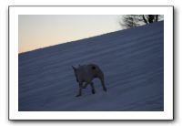 IMG_7687