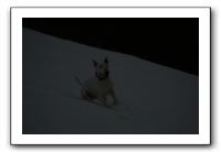 IMG_7697