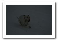 IMG_7702