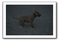 IMG_7745
