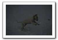 IMG_7746