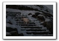 IMG_7770