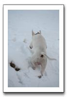 IMG_7657