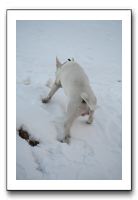 IMG_7658