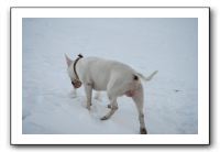 IMG_7659