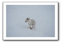IMG_7660