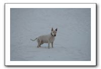 IMG_7670