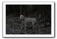 IMG_7616