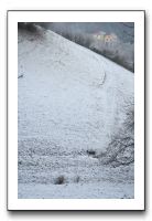 IMG_7626